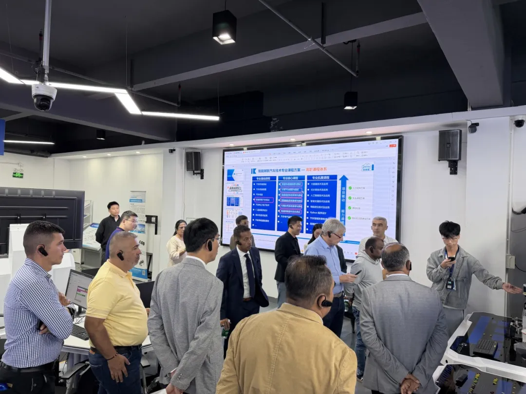 1764638397508901.jpg 11 (2).jpg