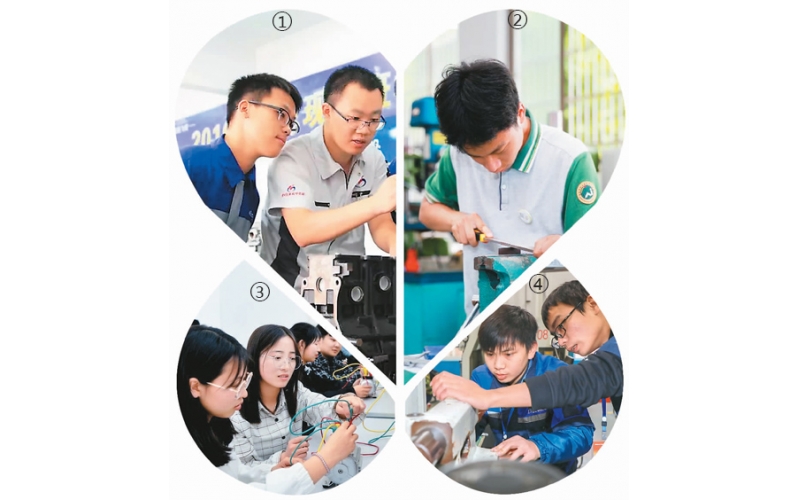 中國職教：賦能產業 融通中外